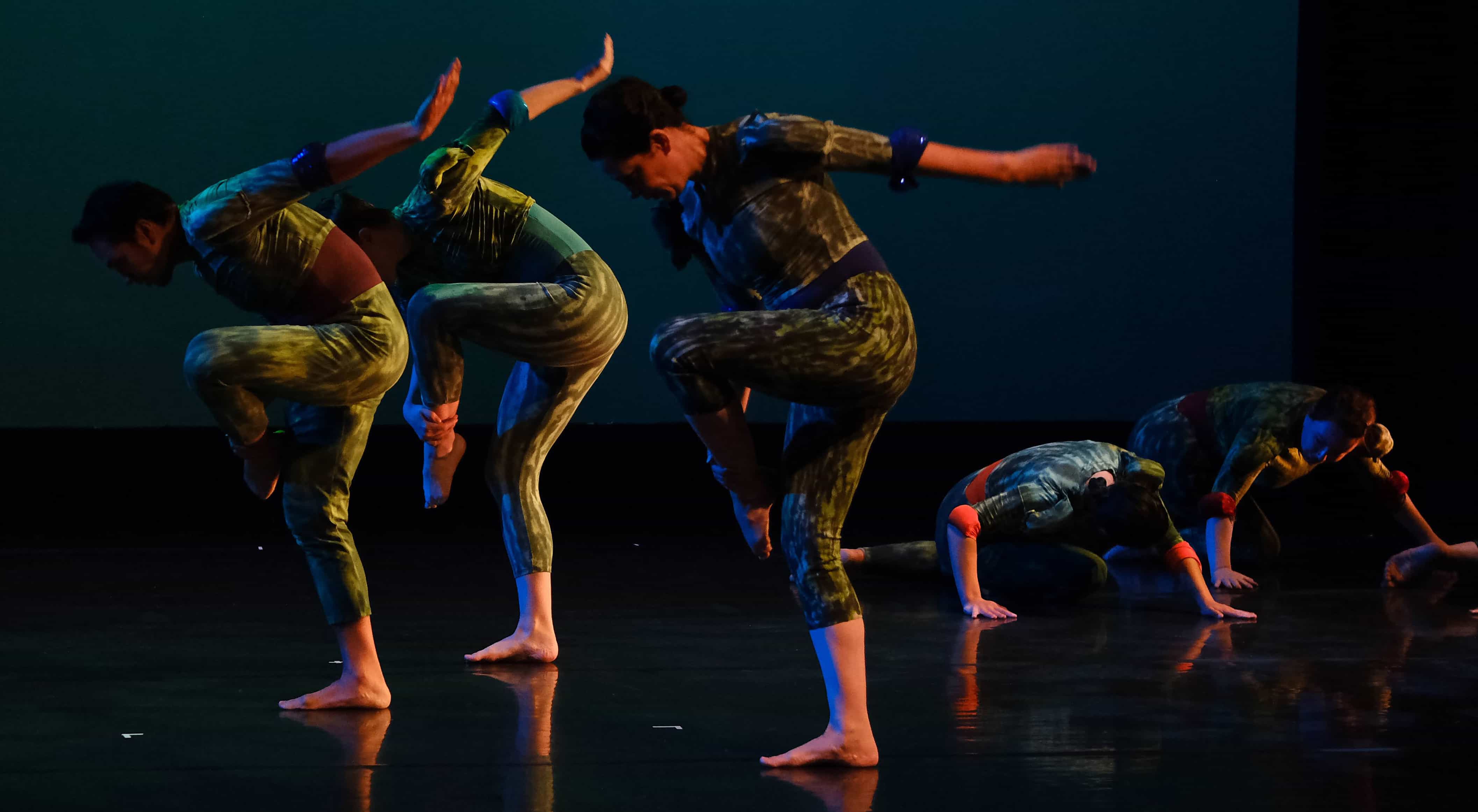 image from dance Study in Entomology