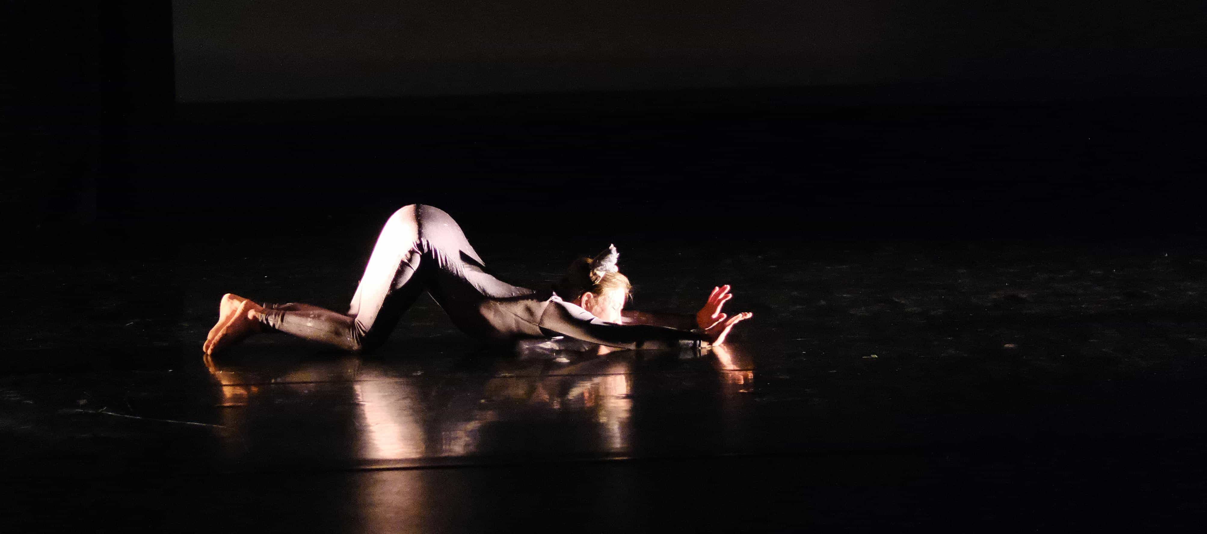 image from dance feline interludes