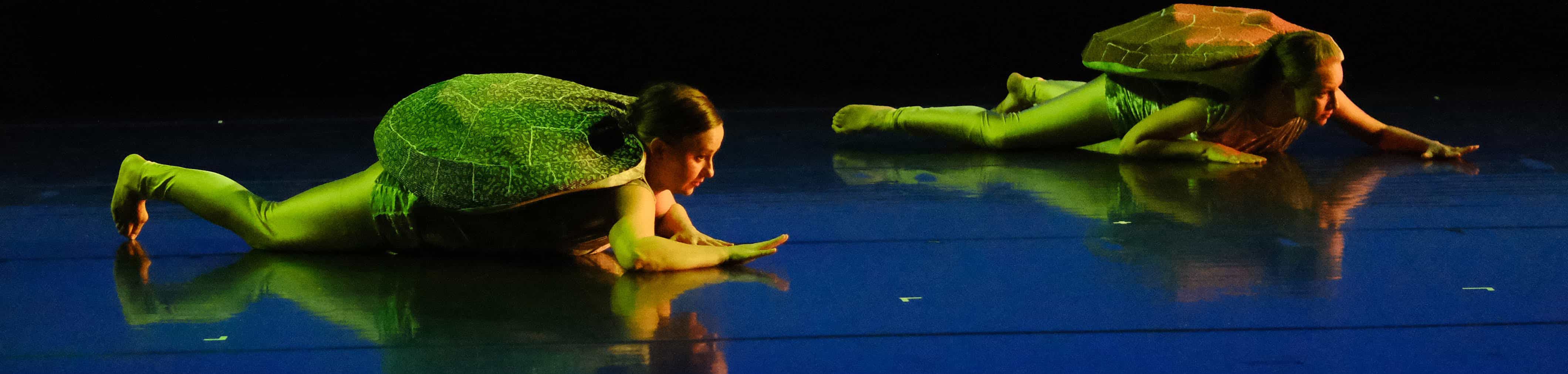image from dance Sea Turtles